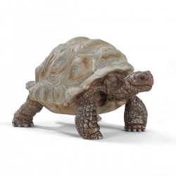 SCHLEICH® 14824 Tortuga...