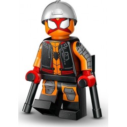 Charlotte Webber/Sun-Spider