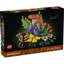 LEGO® 11505 Setas del Bosque