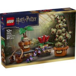 LEGO® 76474 Hogwarts™:...